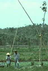 Irrigation and Drainage Abstracts